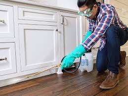 Best Residential Pest Control  in Limestone, IL